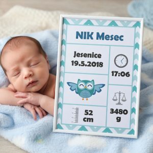 Grafika s podatki otroka – sovica modra