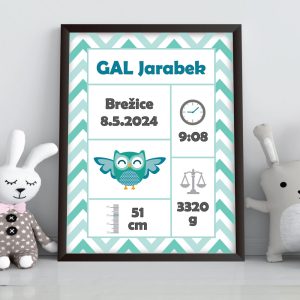 Grafika s podatki otroka – sovica modra