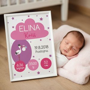 Personaliziran okvir s podatki otroka – roza štorklja