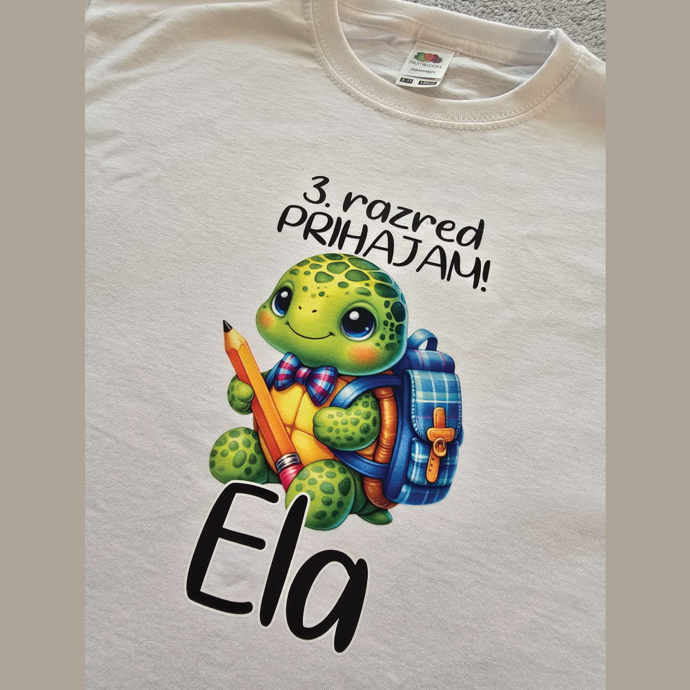 Prihajam 1. razred, 2. razred, 3. razred - želva - Image 4